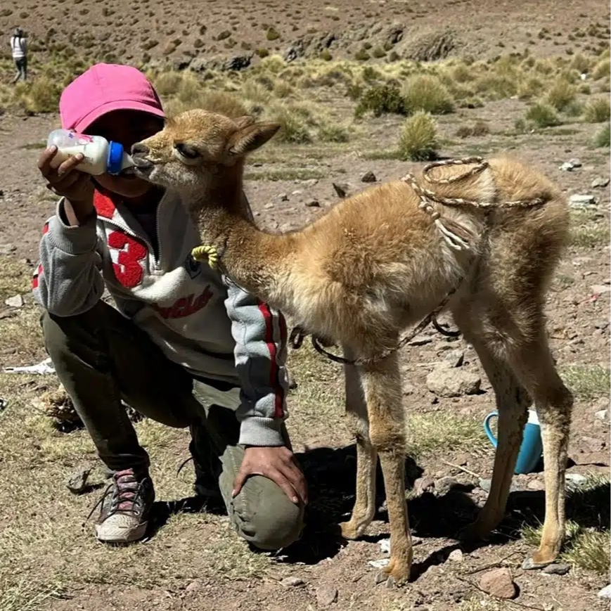 Foto: IICA Bolivia