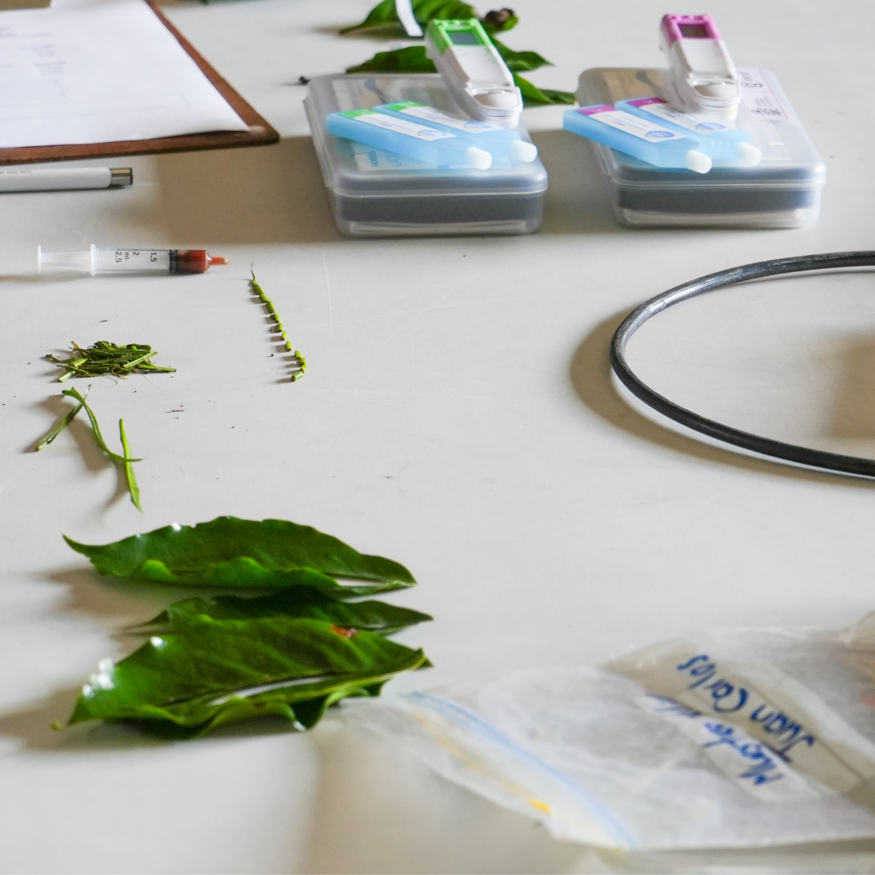 Tecnología de precisión para el campo costarricense: 120 productores transforman sus cultivos con innovación