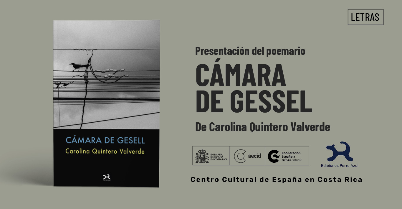 Cmara de Gessel