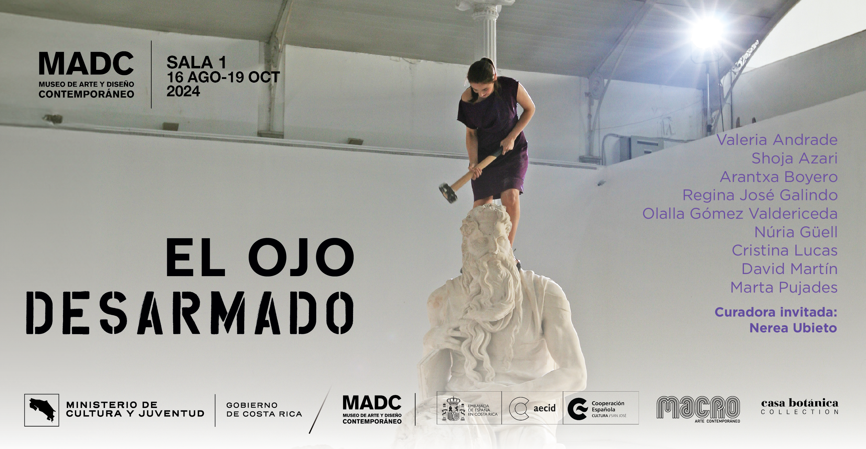 El ojo desarmado