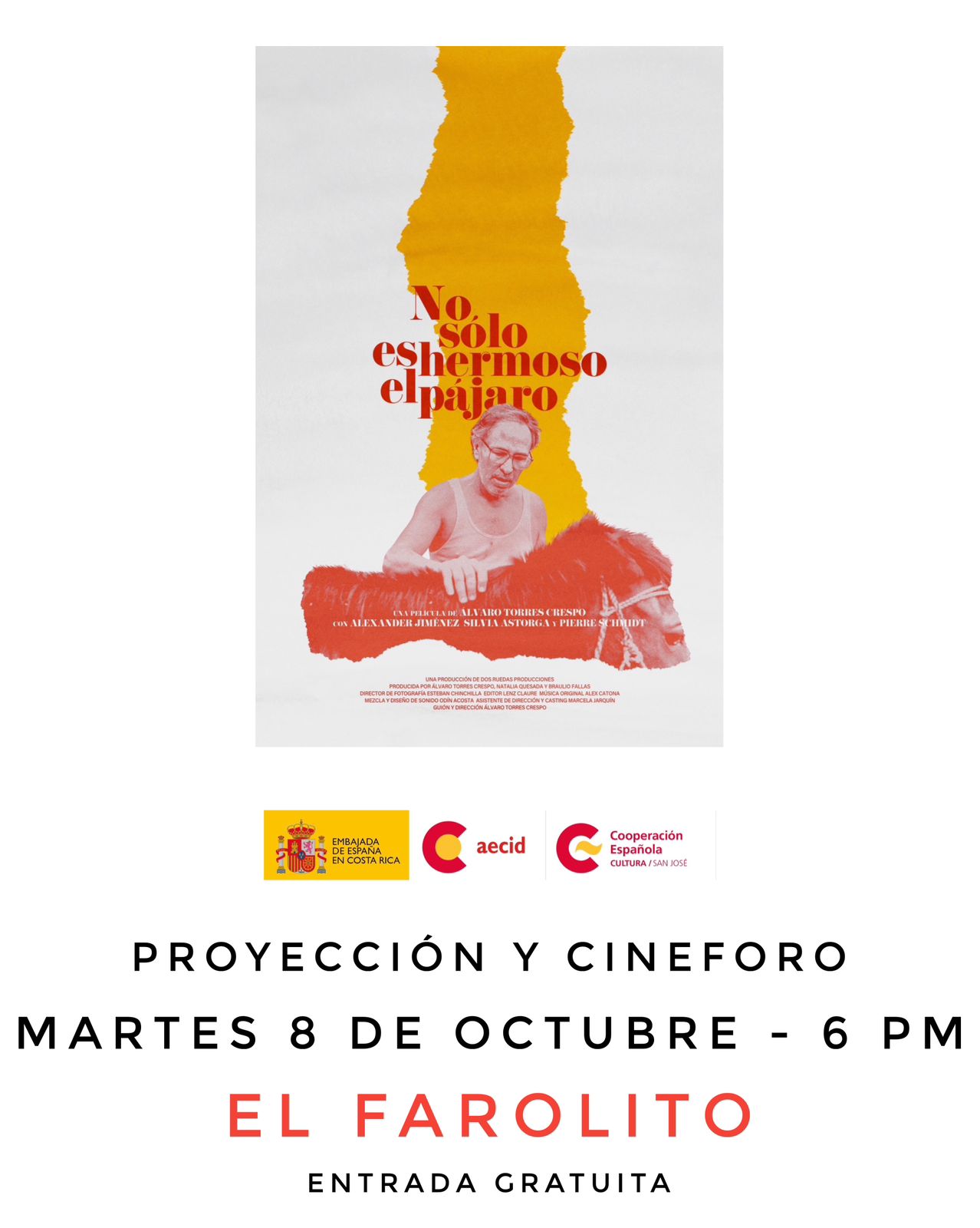 Cine foro No solo es hermoso el pjaro