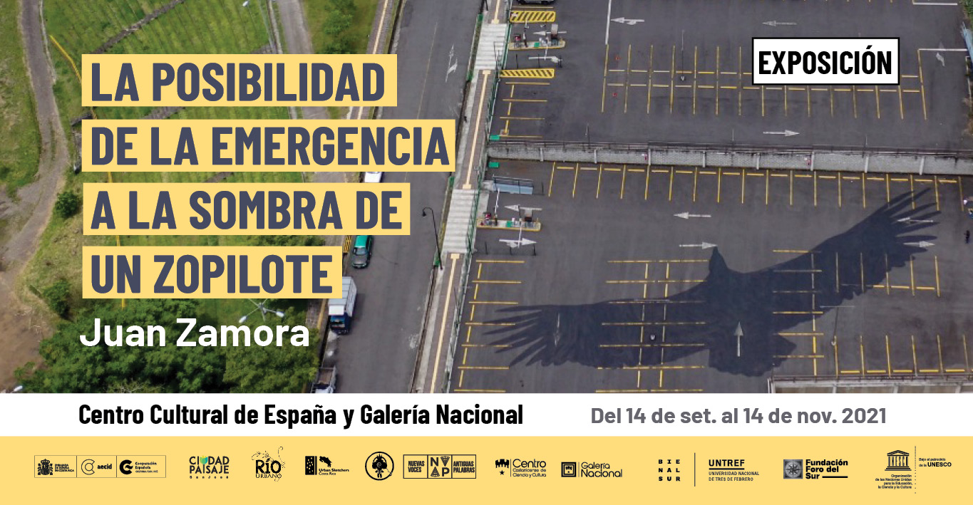 LA POSIBILIDAD DE LA EMERGENCIA A LA SOMBRA DE UN ZOPILOTE