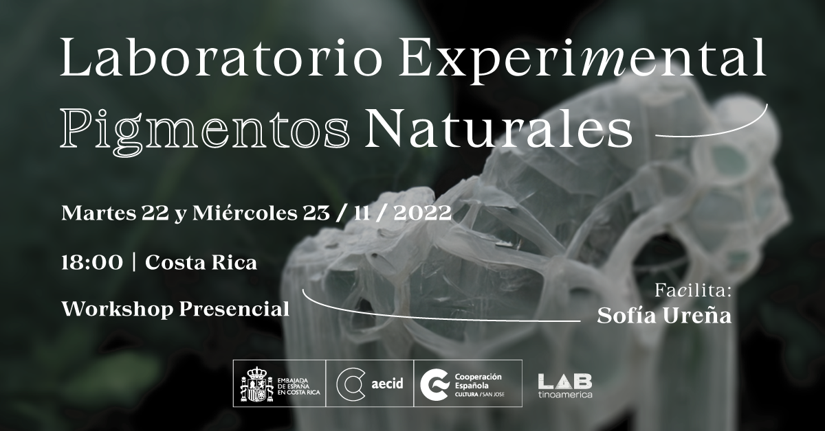 Workshop Laboratorio experimental pigmentos naturales