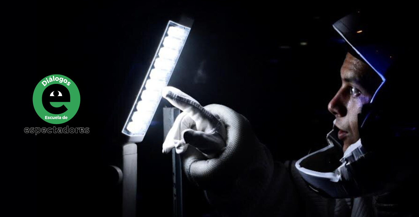 La Balada postfuturista de los moluscos