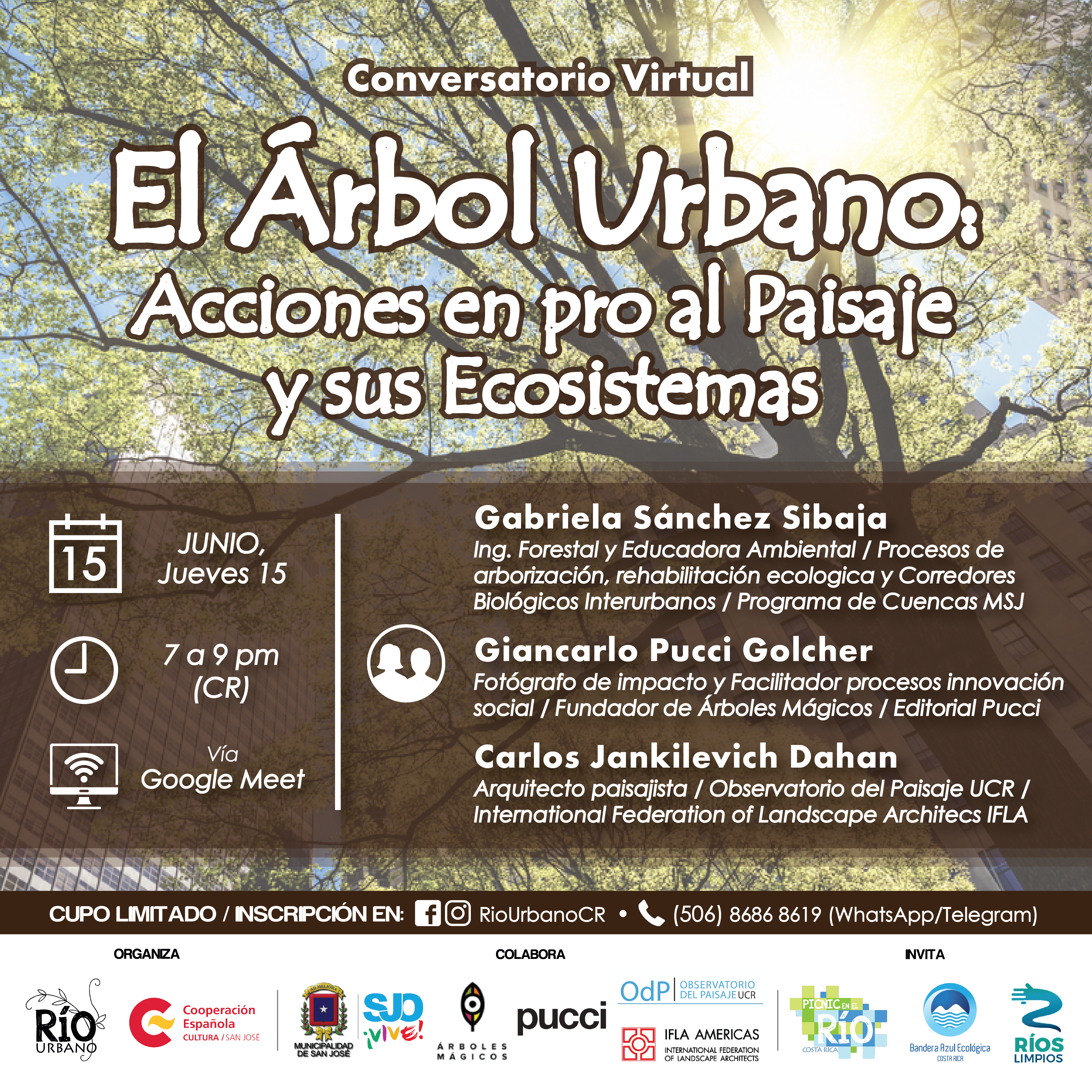El rbol urbano Acciones en pro del paisaje y sus ecosistemas