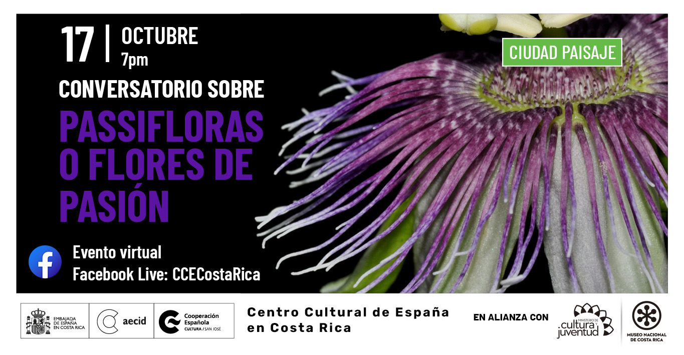 Passifloras o flores de pasin