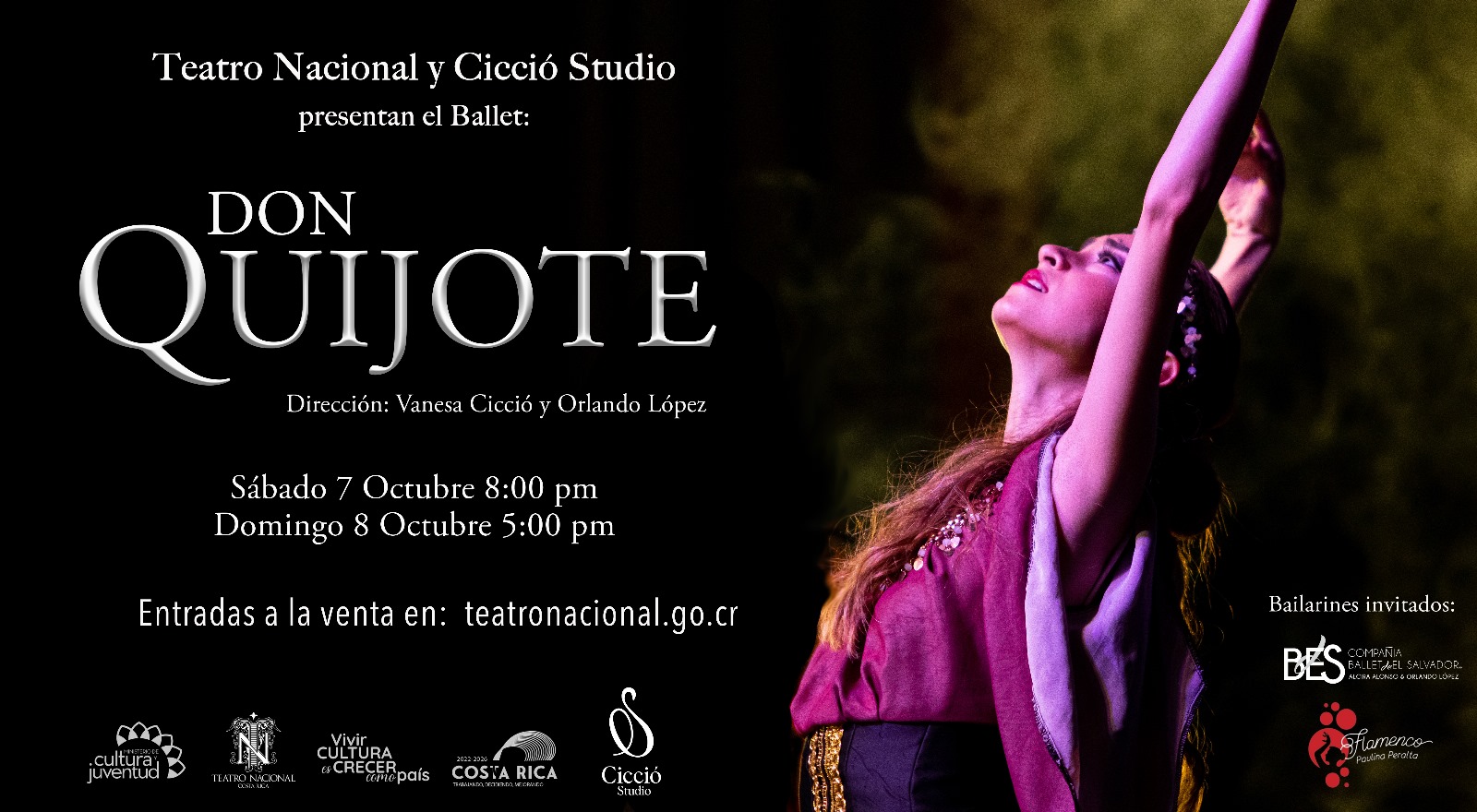 Don Quijote de la Mancha