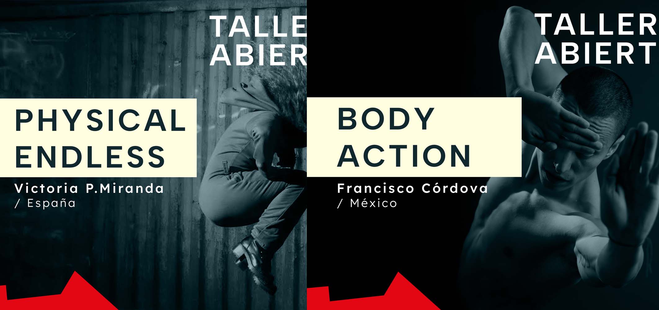 MACA festival amp escena contempornea 2024