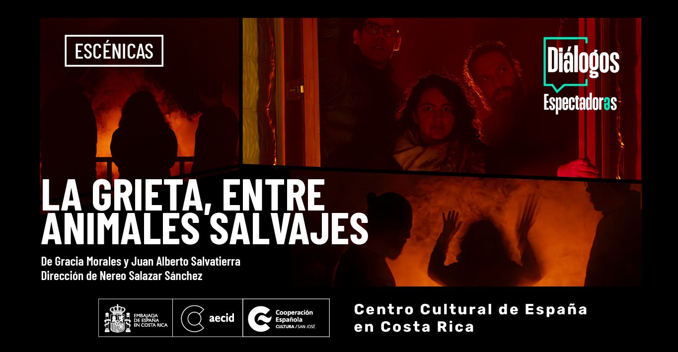 Dilogos Espectadores 2024