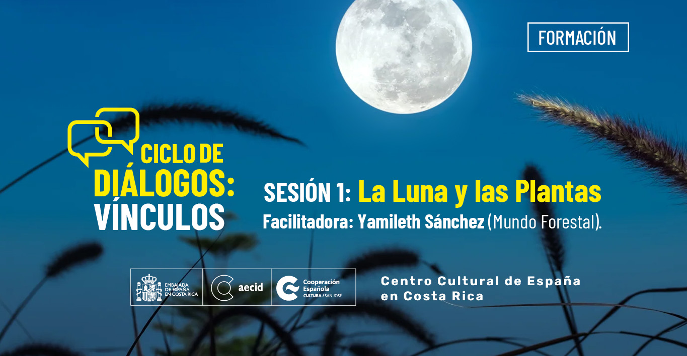 Ciclo de Dilogos Vnculos