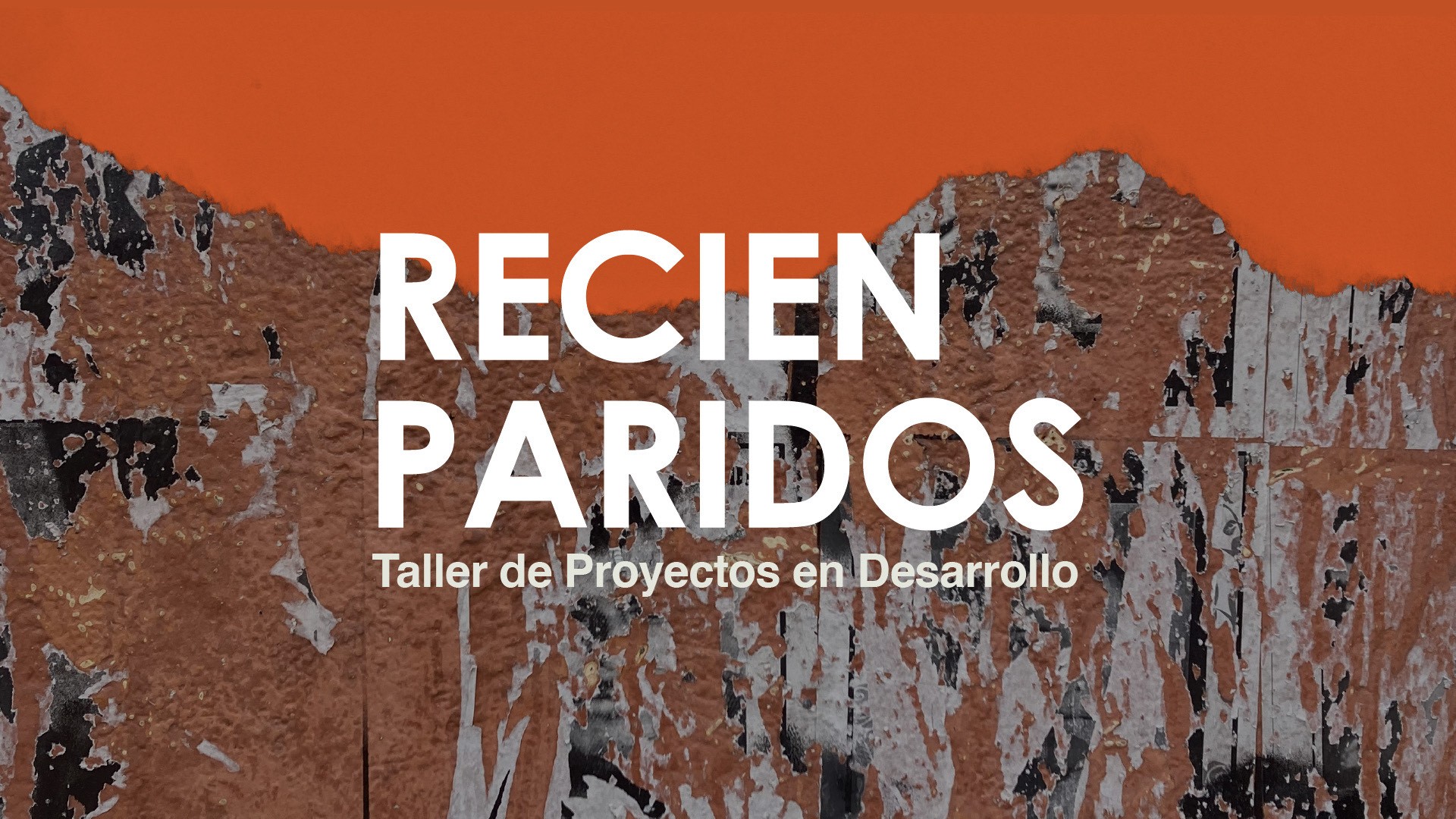 Recin Paridos Taller de proyectos en desarrollo