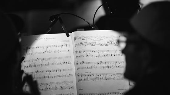 Huellas musicales del Quijote