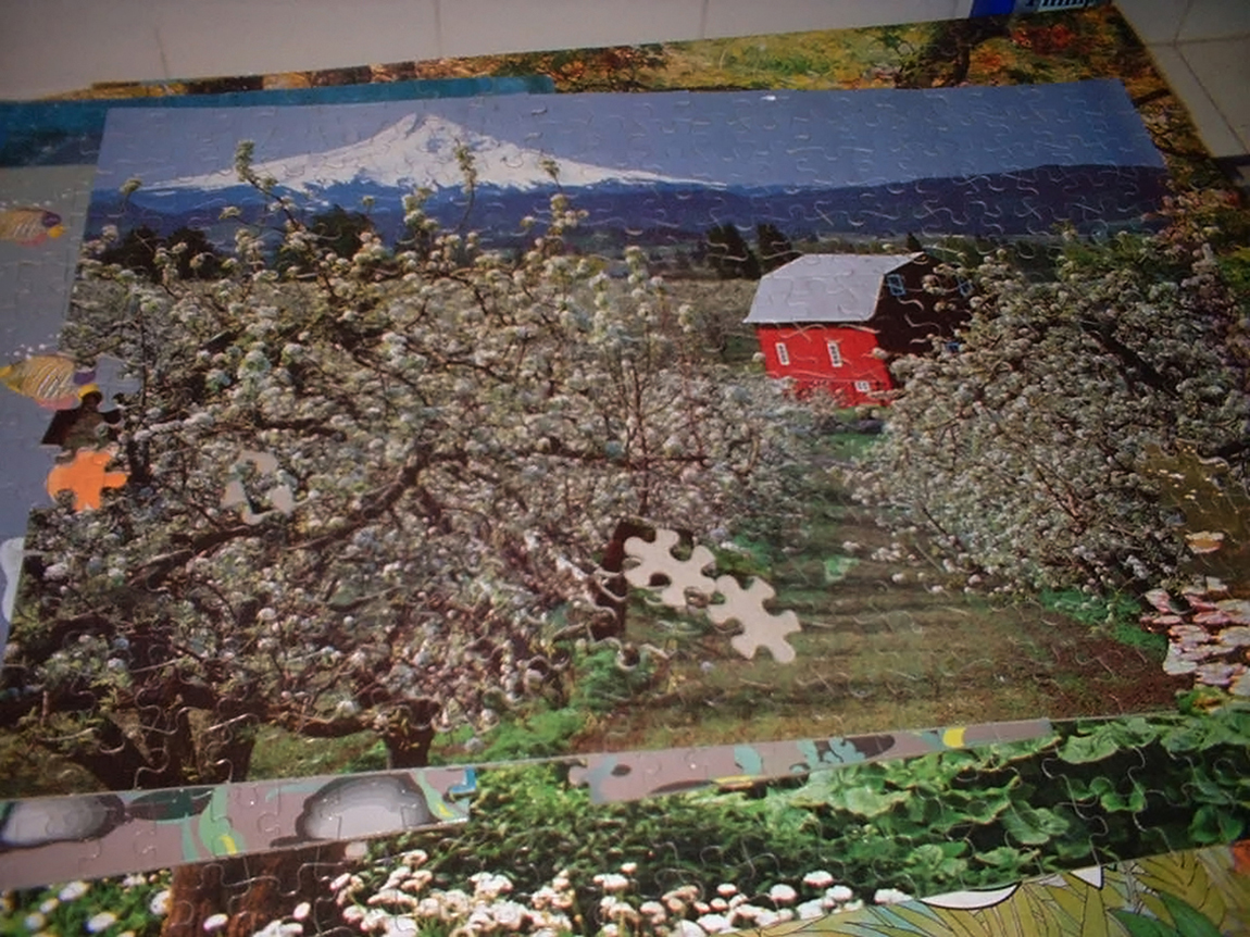 Foto por Eduardo Moncada