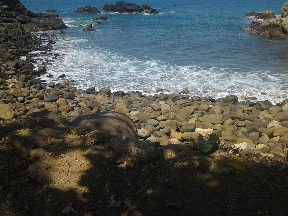 Foto por Mariano Chavarría