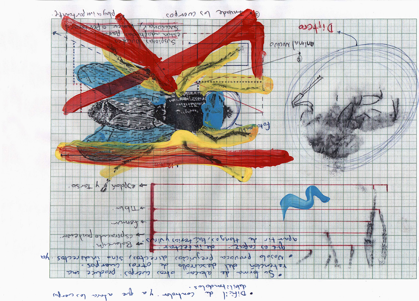 Intervención de Diego Said Díaz en obra de Christian Salablanca