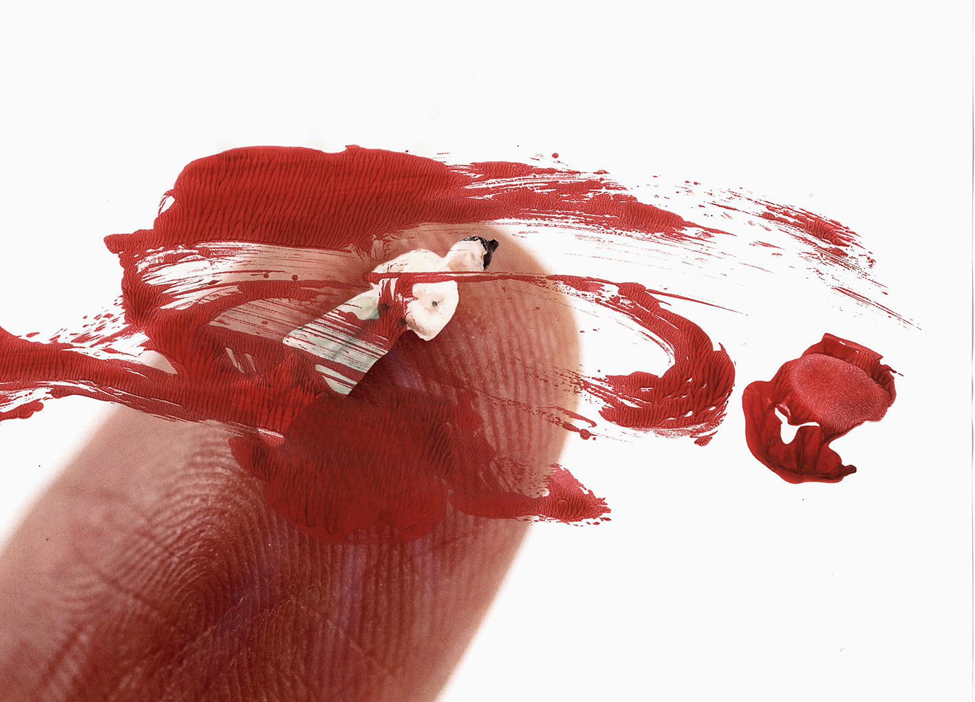 Intervención de Doménico Sanchez en obra de Gabriela Téllez