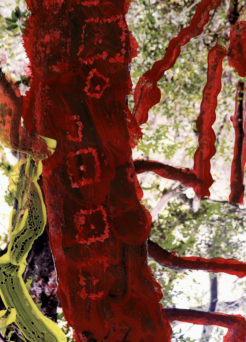 Intervención de Dylan Medina en obra de Alessandro Valerio