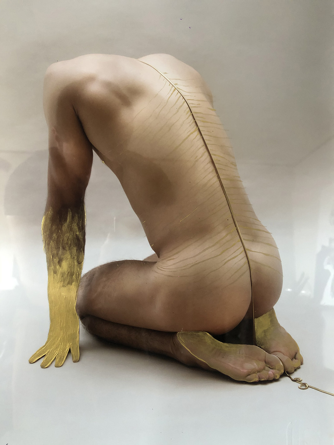 Juan José Durán y Andrés Valverde. La fragilidad. 2019. Fotografía digital y edición plástica