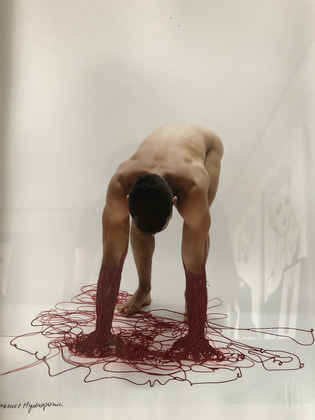 Juan José Durán y Andrés Valverde. La fuerza. 2019. Fotografía digital y edición plástica