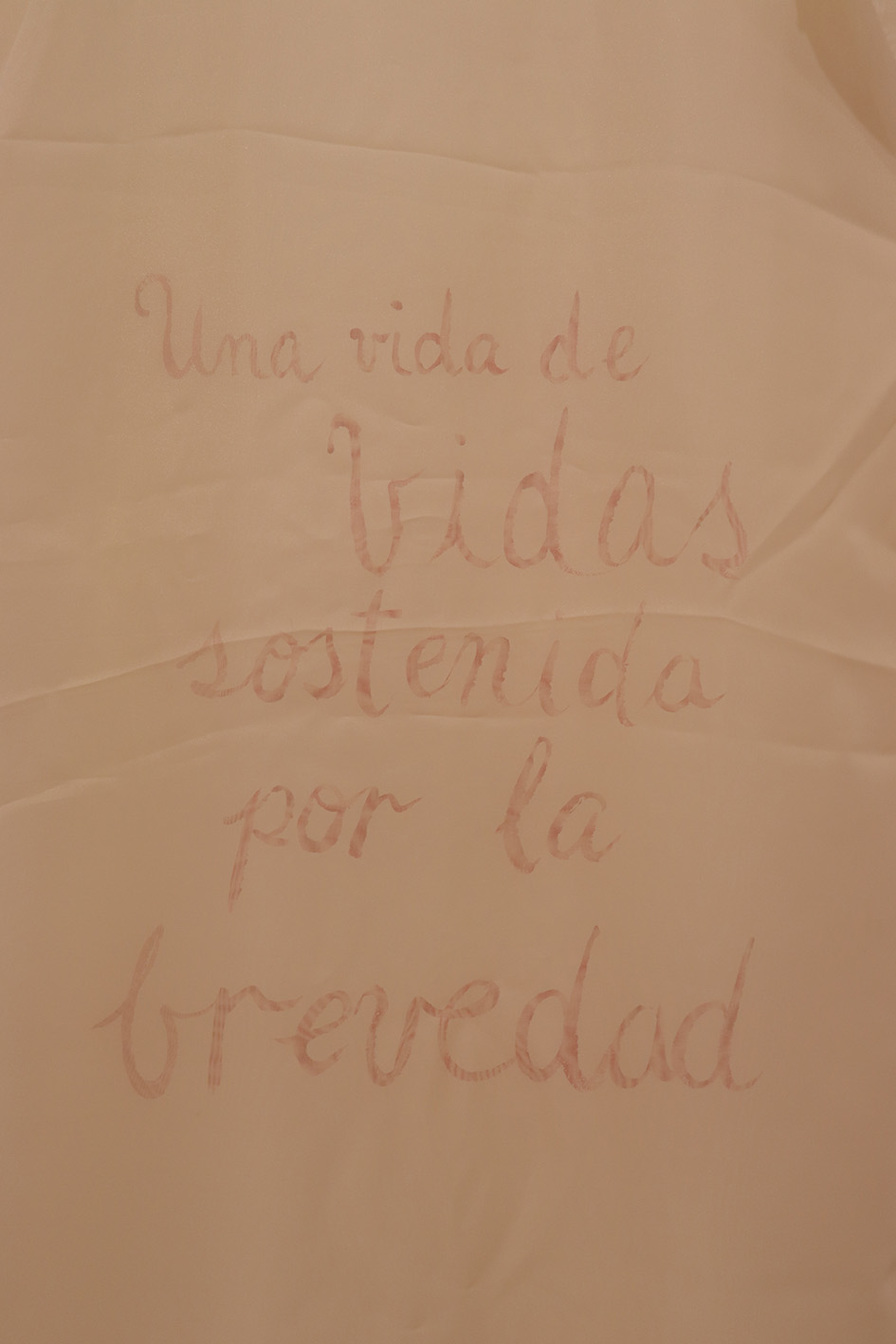 Man Yu. Mi trajín. 2019. Instalación de textil y objetos con intevención de pared (3)