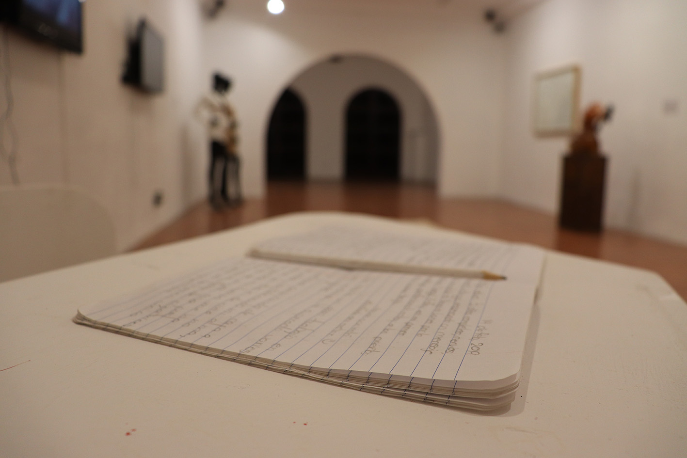 Vistas de la exposición. 2019. CCECR (13)