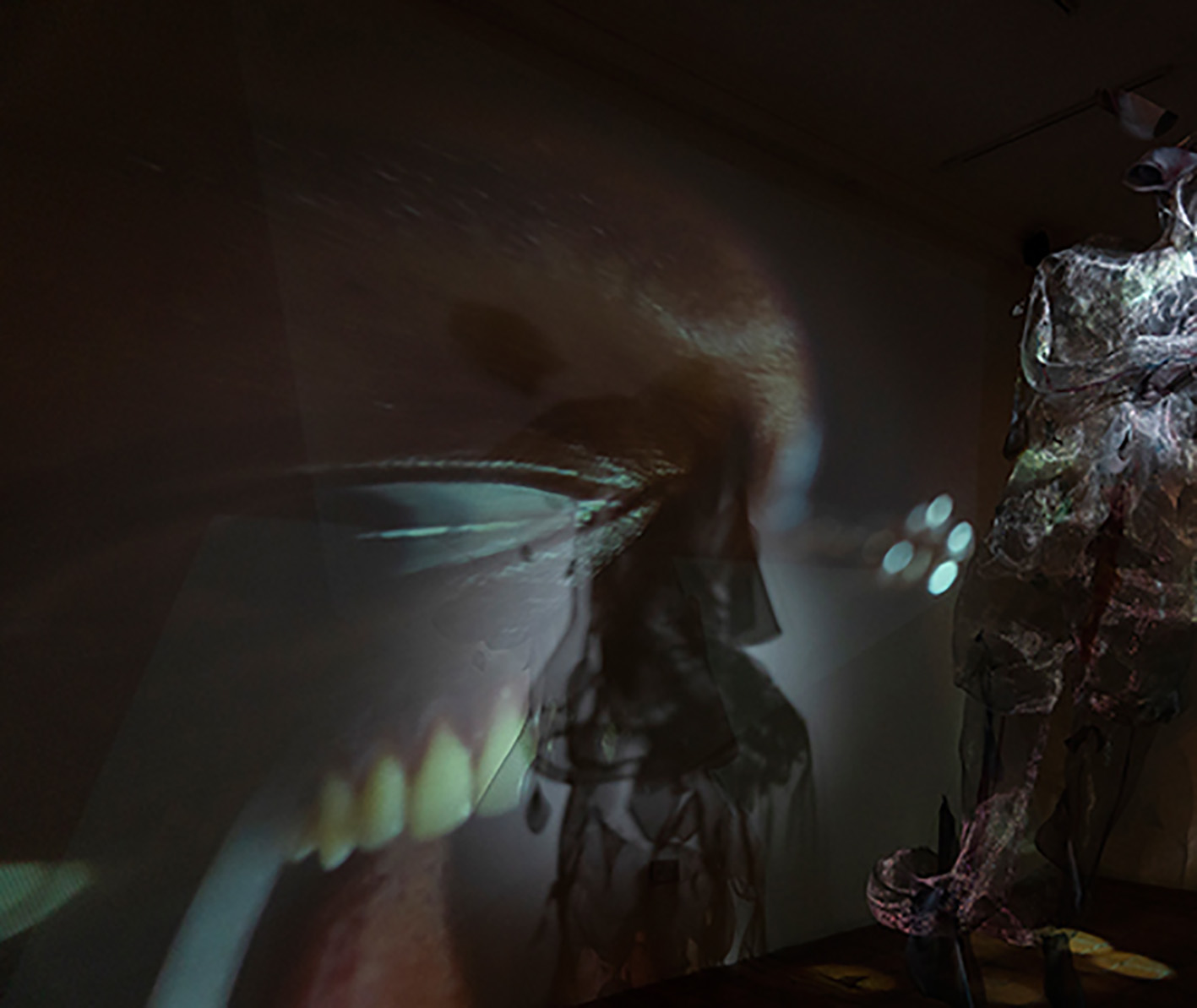 Detalle video Marton Robinson, loop, No hay más que un nombre, por Marton Robinson Y Gala Berger, agosto 2019, CCECR