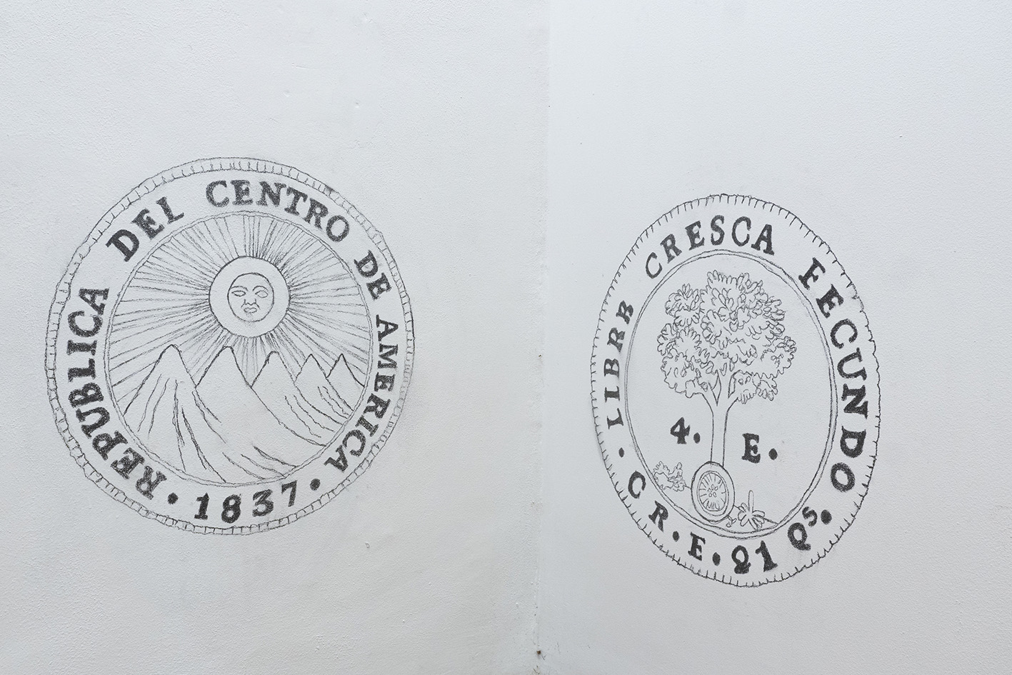 No Hay Más Que Un Nombre Berger Robinson Ccecr Foto Fabian H Mena 2019 05