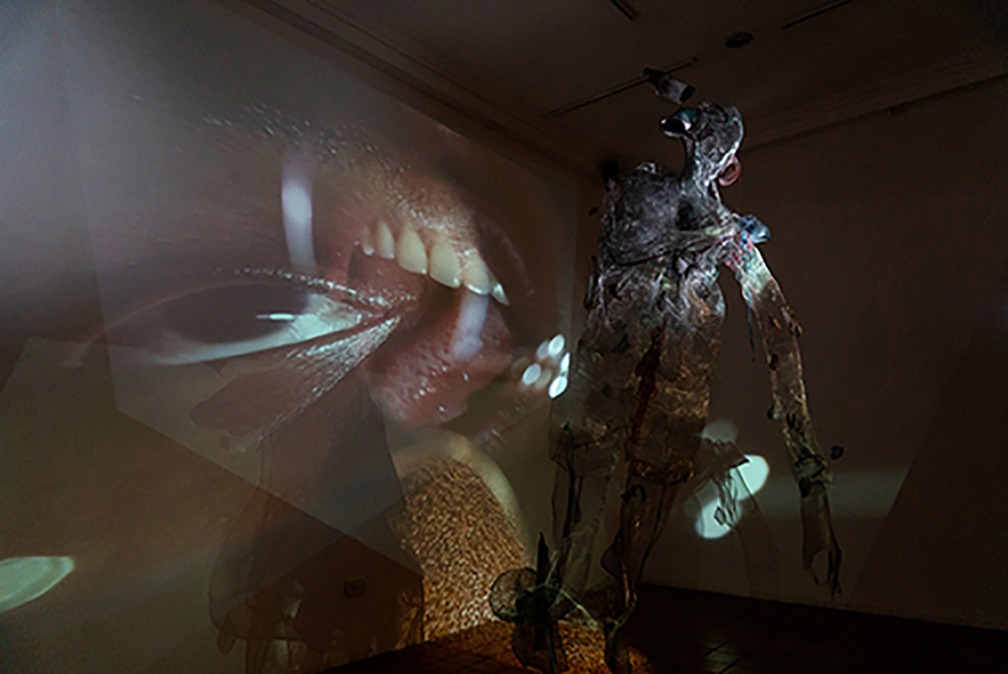 Vista de la exhibición No hay más que un nombre, por Marton Robinson Y Gala Berger, agosto 2019, CCECR