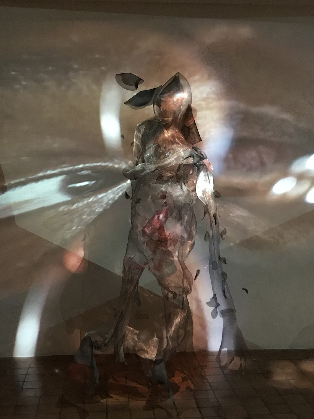 Vista de la exhibición No hay más que un nombre, por Marton Robinson Y Gala Berger, agosto 2019, CCECR (3)