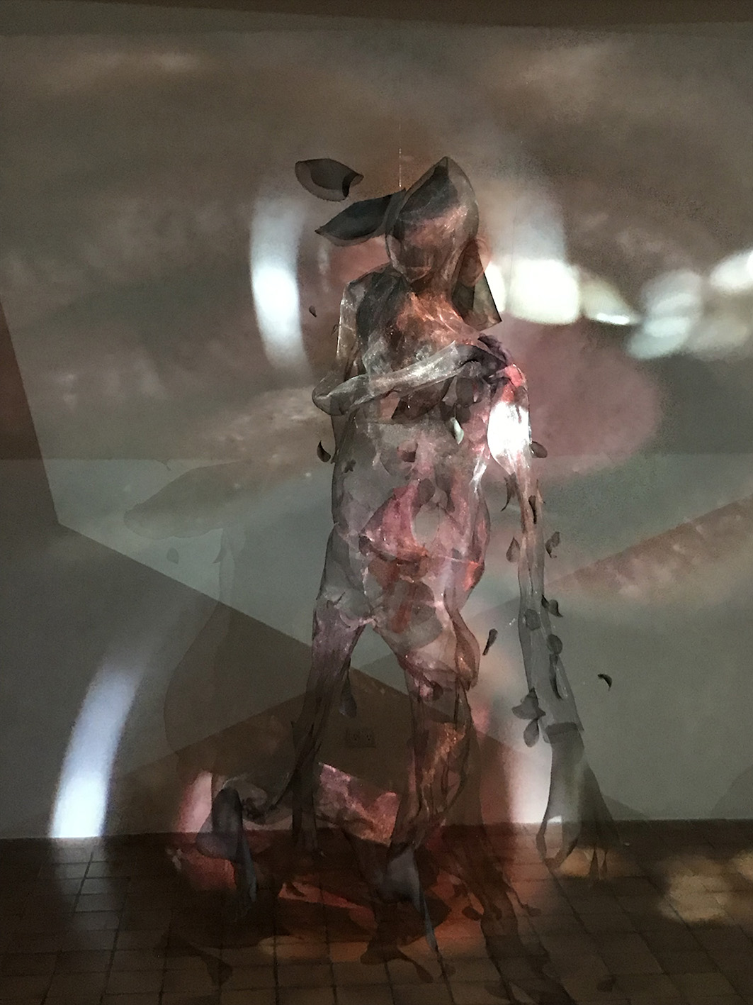 Vista de la exhibición No hay más que un nombre, por Marton Robinson Y Gala Berger, agosto 2019, CCECR (4)