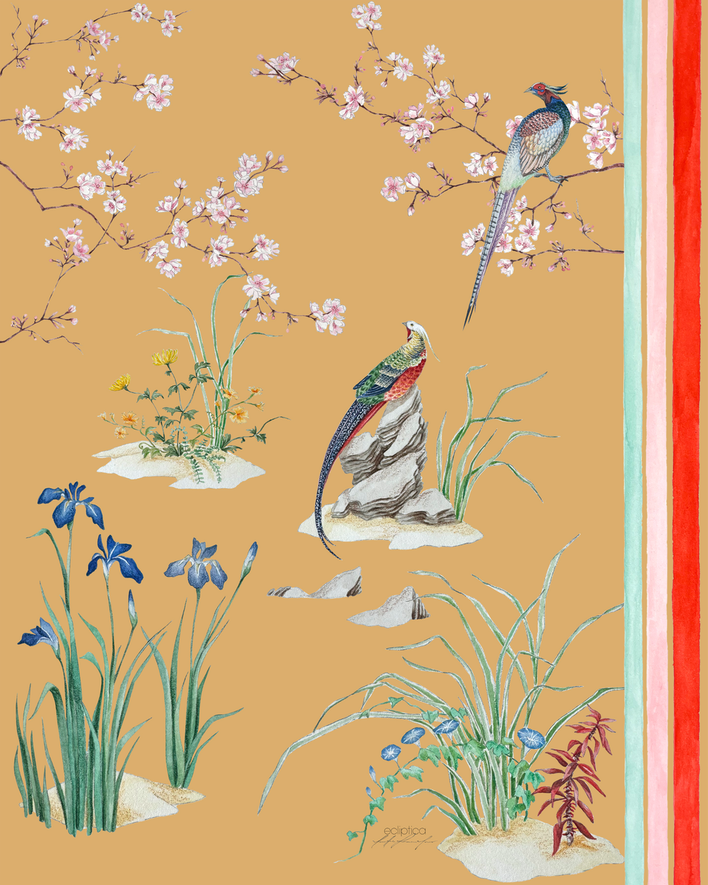 Ilustración pájaros