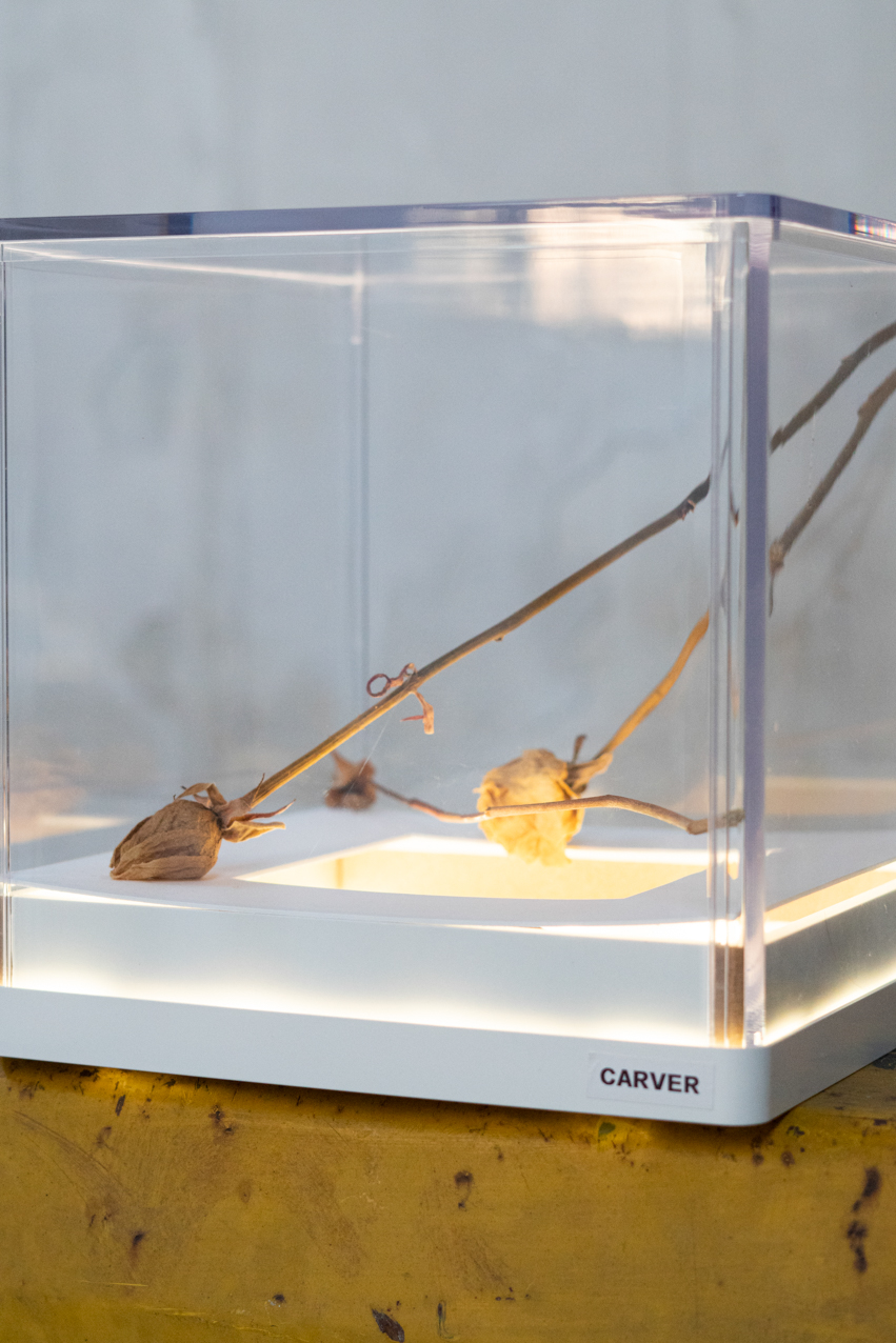 Carver. 2020. Objeto instalación en caja de luz led. 24x24x24cm (2)