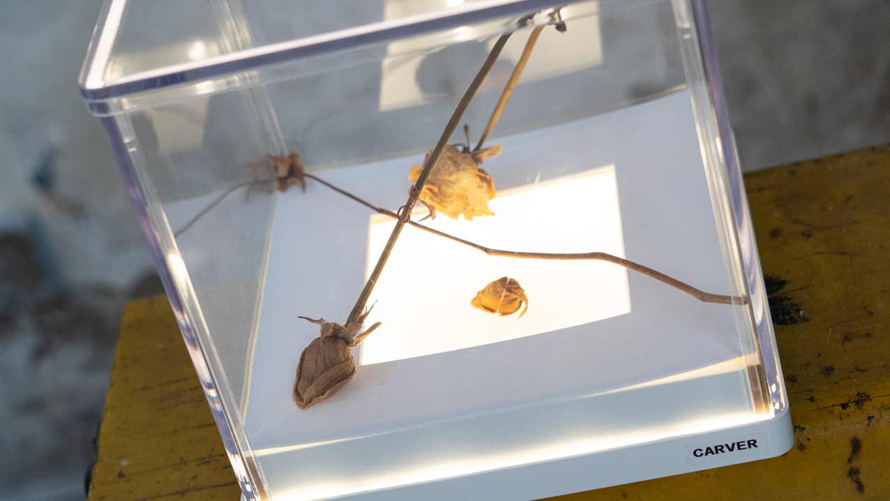 Carver. 2020. Objeto instalación en caja de luz led. 24x24x24cm (3)