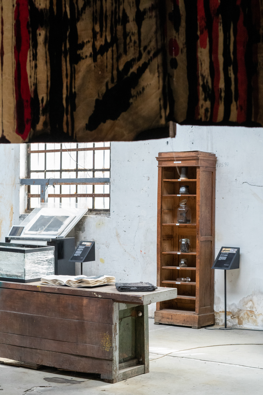 Falsa ecología. 2020. Instalación sonoro-virtual. 3 elementos 30x30cm, 54x36cm, 104x40cm (1)