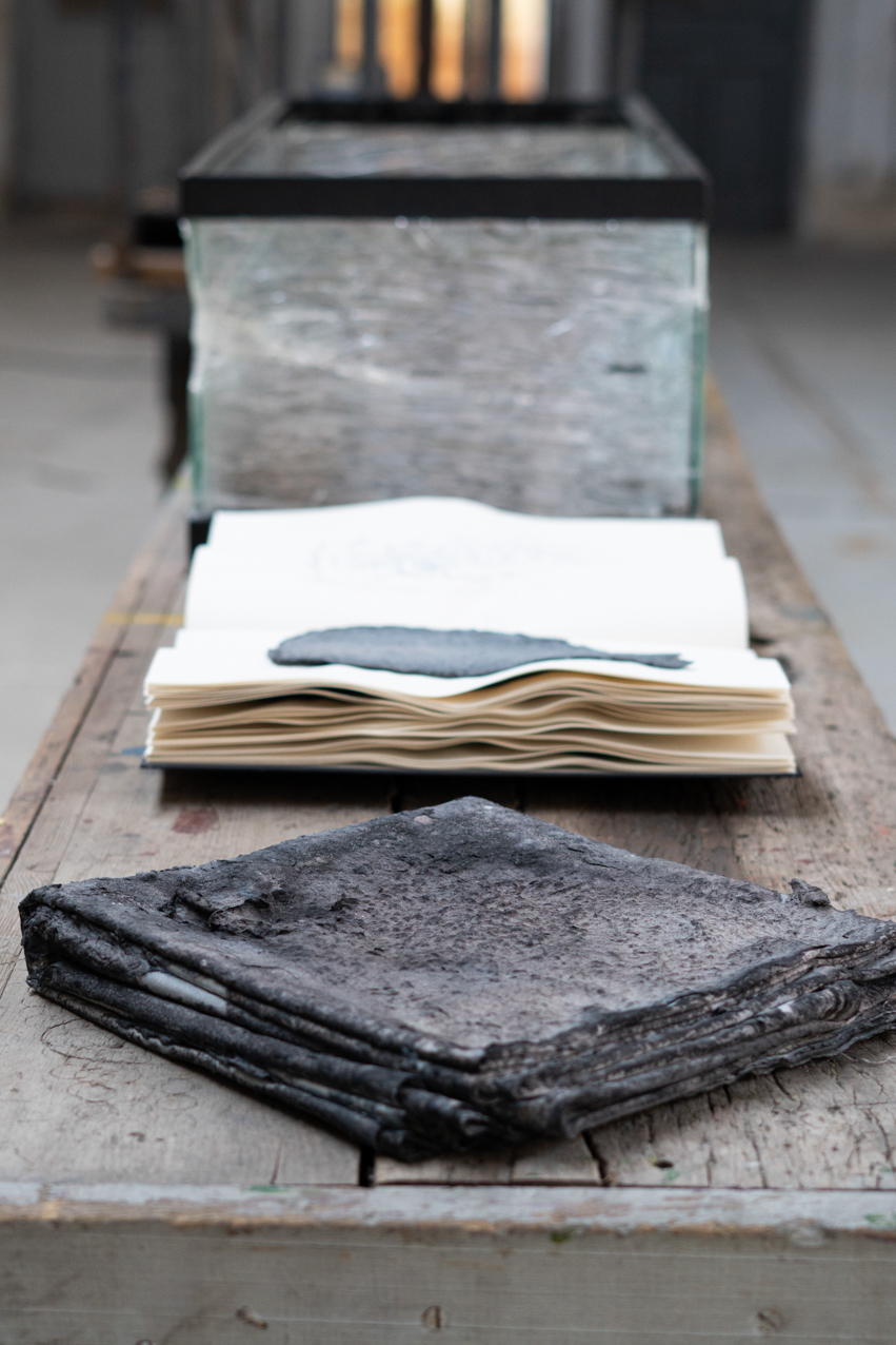 Falsa ecología. 2020. Instalación sonoro-virtual. 3 elementos 30x30cm, 54x36cm, 104x40cm (2)