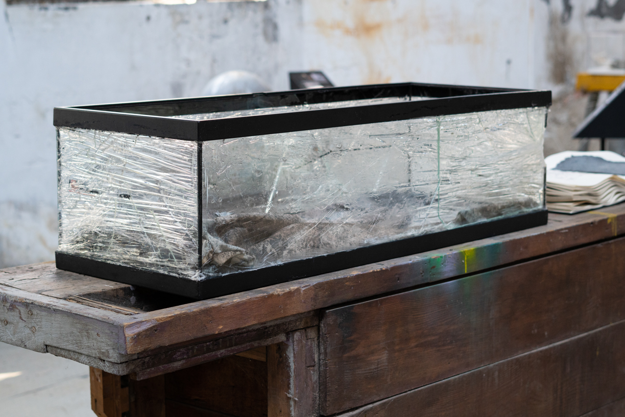 Falsa ecología. 2020. Instalación sonoro-virtual. 3 elementos 30x30cm, 54x36cm, 104x40cm (5)