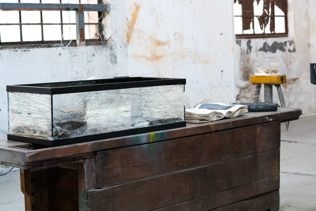 Falsa ecología. 2020. Instalación sonoro-virtual. 3 elementos 30x30cm, 54x36cm, 104x40cm (7)