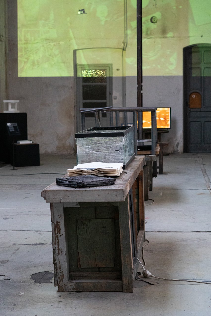 Falsa ecología. 2020. Instalación sonoro-virtual. 3 elementos 30x30cm, 54x36cm, 104x40cm (8)