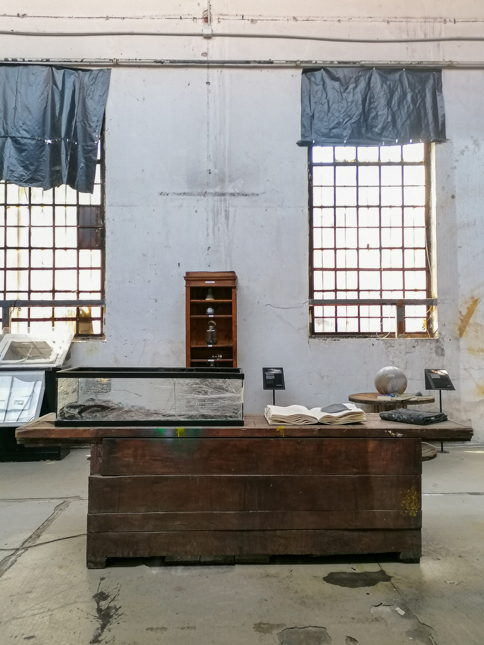 Falsa ecología. 2020. Instalación sonoro-virtual. 3 elementos 30x30cm, 54x36cm, 104x40cm (9)