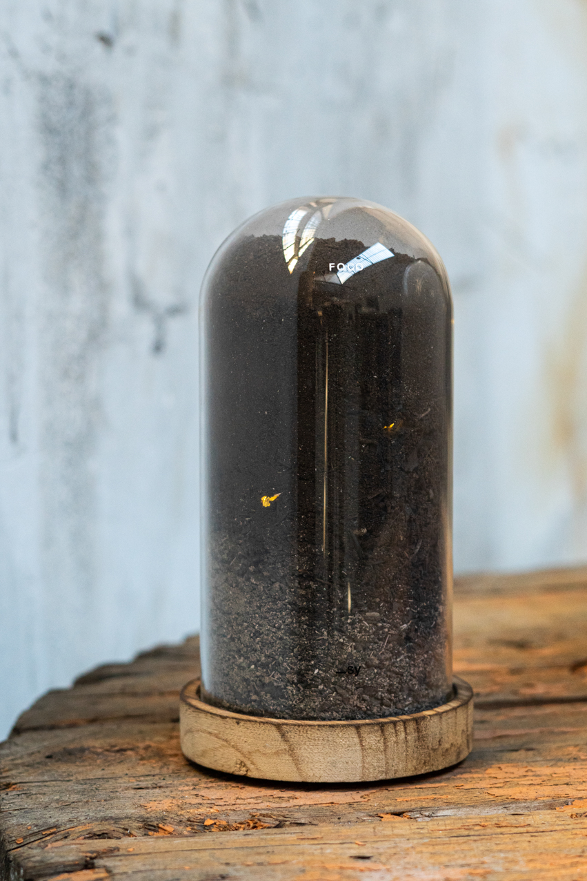 Foco. 2020. Objeto. 19x10cm