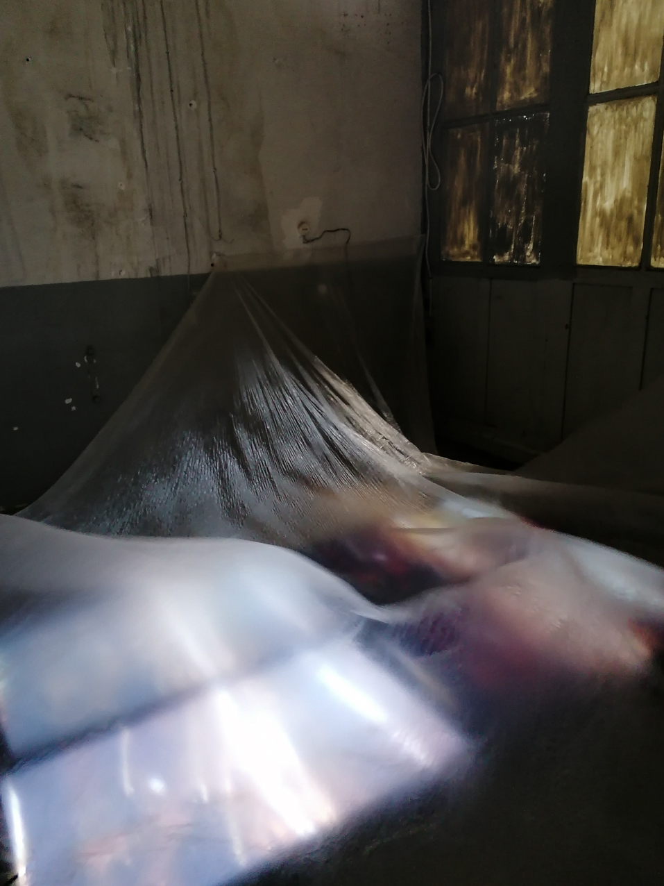 Ku. 2020. Diapositivas instalación. 200x110cm (2)