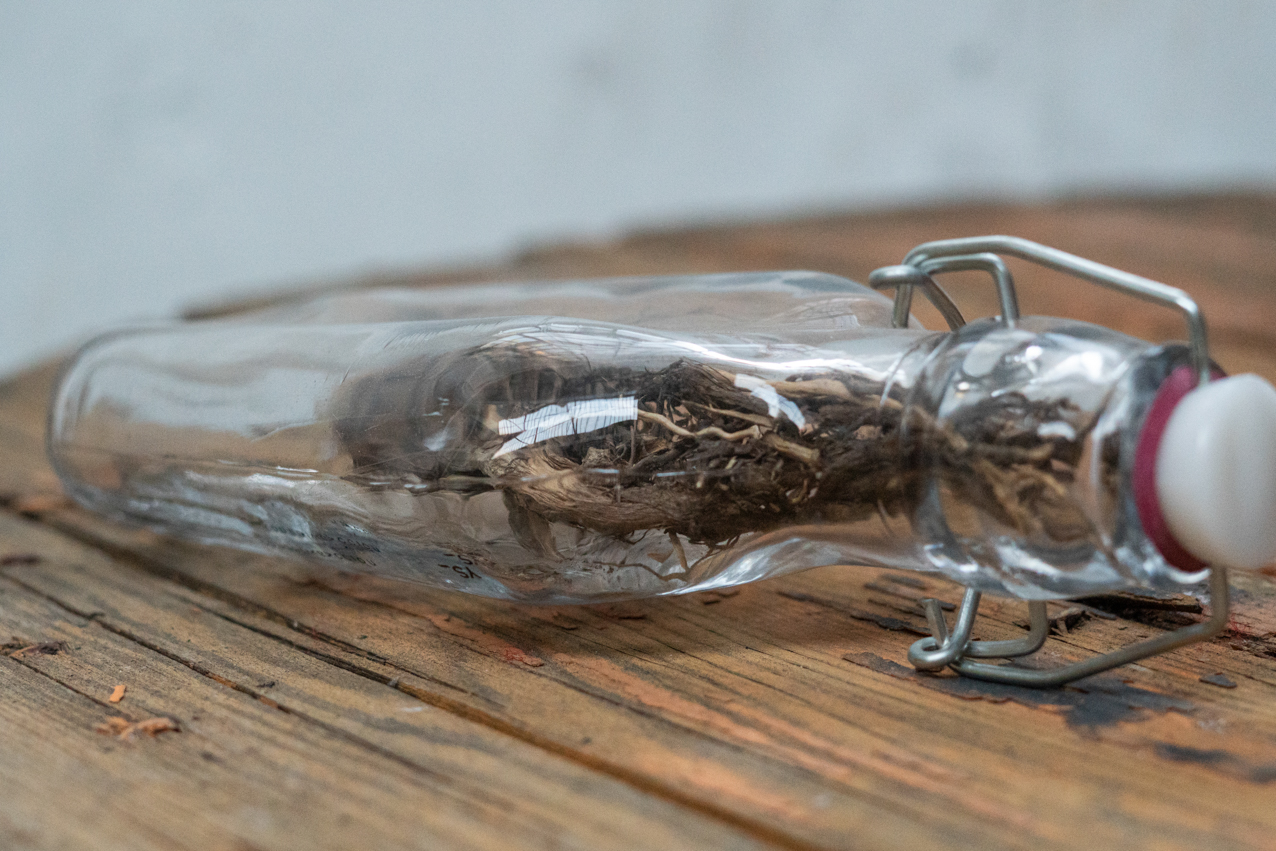 Mensaje en botella. 2020. Objeto. 20x10cm