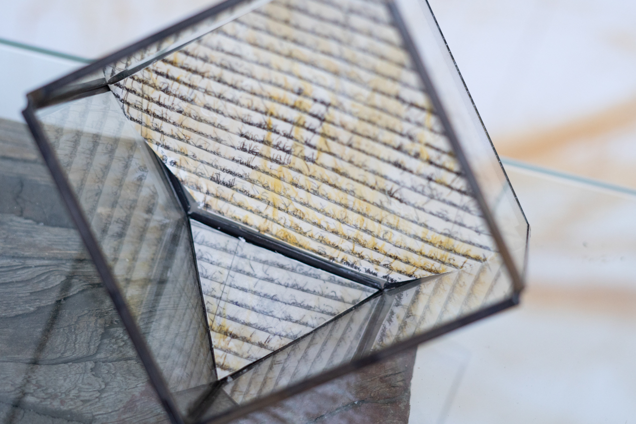 Narrados. 2020. Instalación. 10x10x10cm (2)