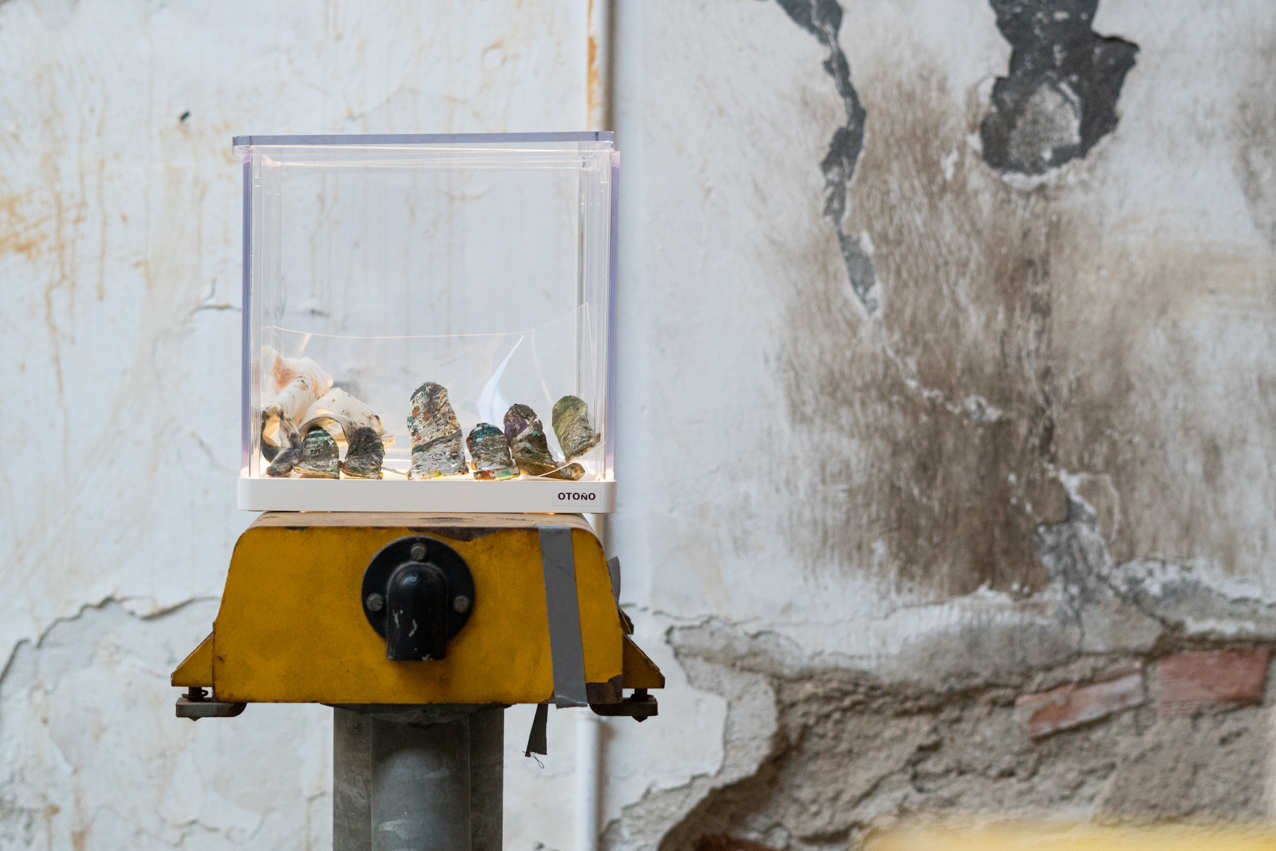 Otoño. 2020. Objeto instalación en caja de luz led. 24x24x24cm (1)