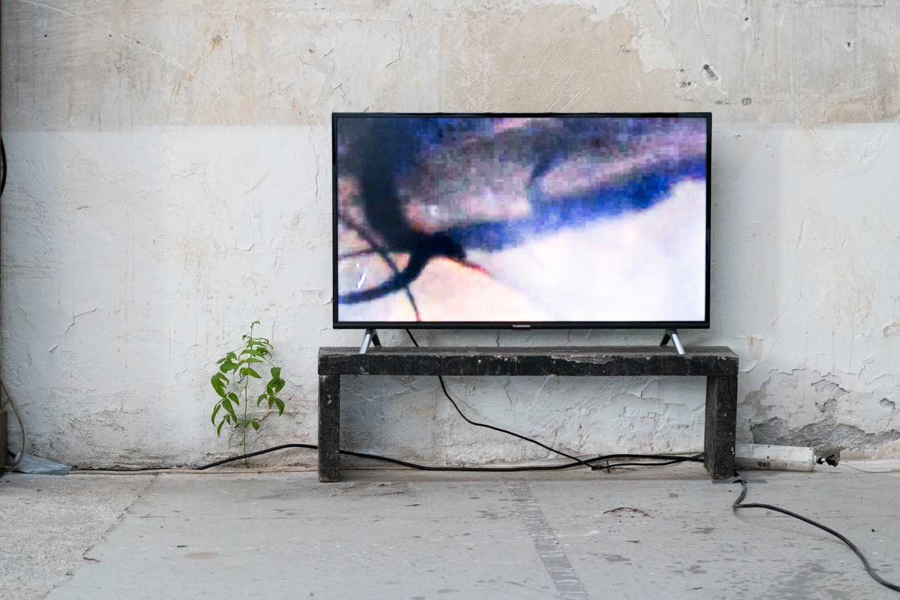 Paisajes encerrados. 2020. Instalación olfativa-visual y video. 13 elementos. 200x100cm (1)