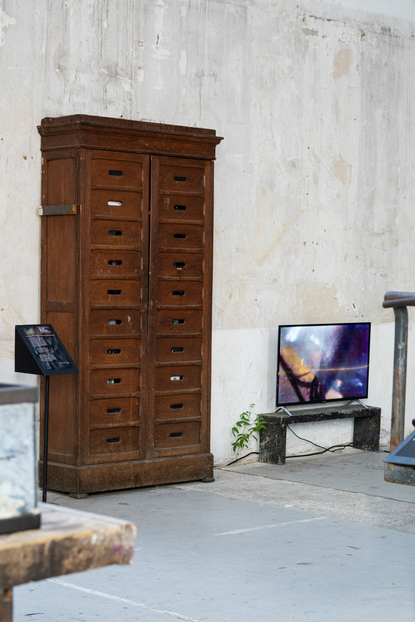 Paisajes encerrados. 2020. Instalación olfativa-visual y video. 13 elementos. 200x100cm (3)