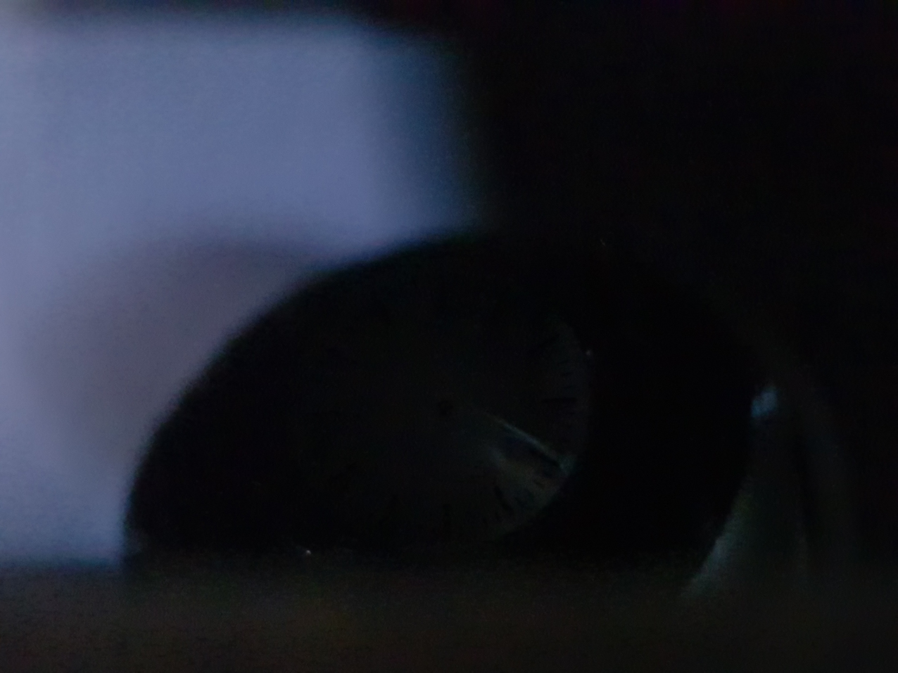 Paisajes encerrados. Detalles (1)