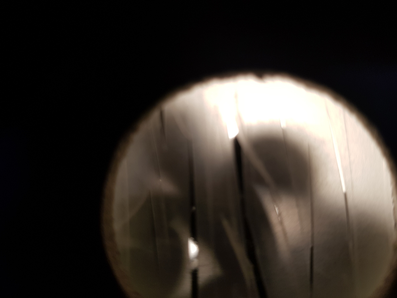 Paisajes encerrados. Detalles (10)