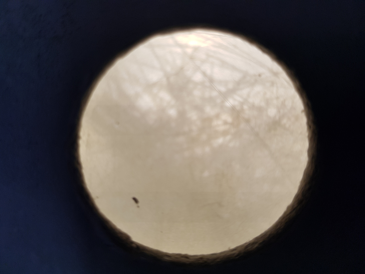 Paisajes encerrados. Detalles (12)