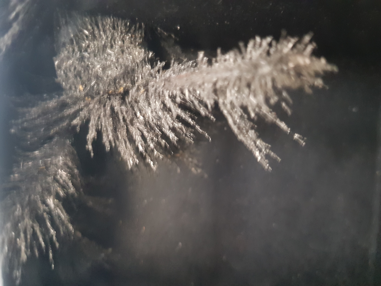 Paisajes encerrados. Detalles (16)